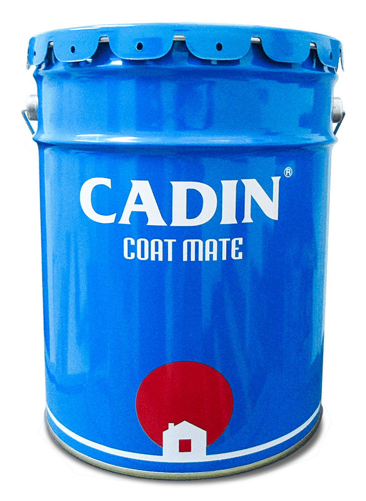 Cadin-1-min