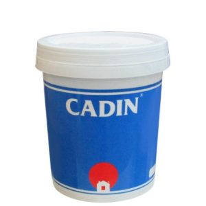 SƠN CADIN
